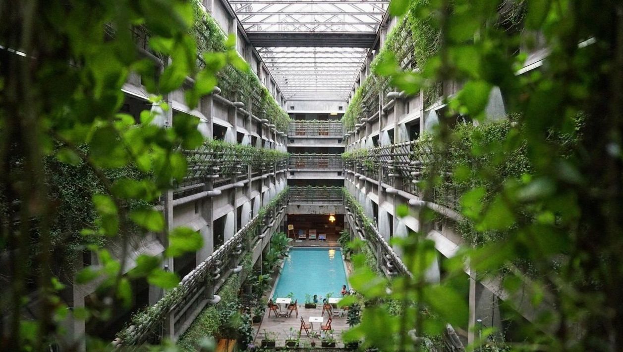 Breakout foyer during morning tea
